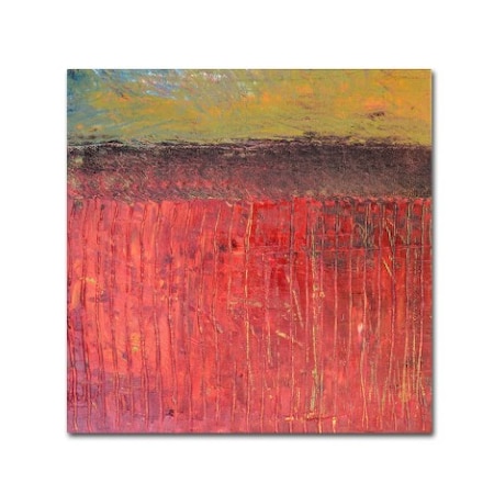 Michelle Calkins 'Highway Series Cranberry Bog' Canvas Art,35x35